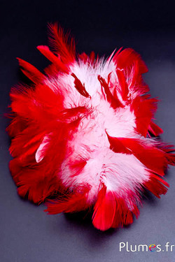 Pute Strähne - diam. 18 cm - weiss-rot